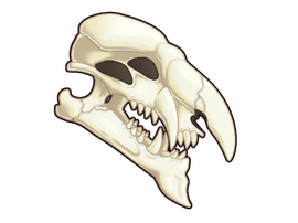 Wyrm Female Skull